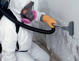 Best Airborne Mold Testing  in Huntington, TX